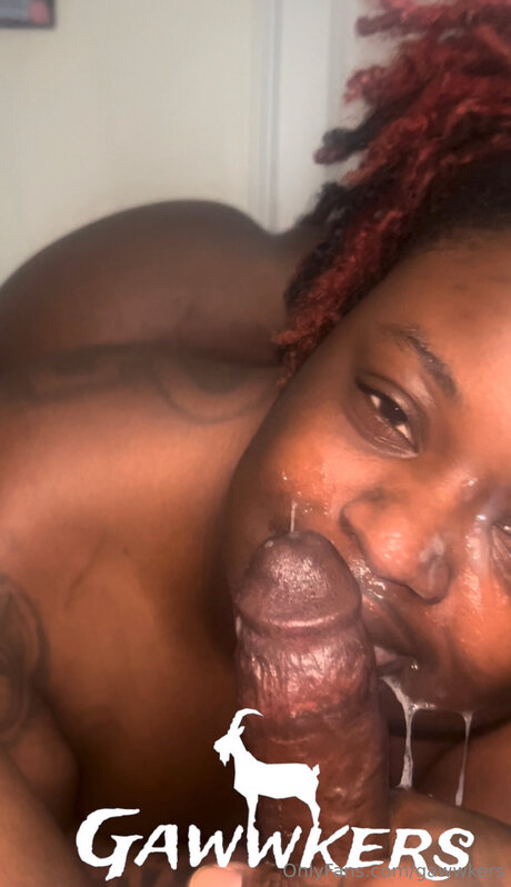 Gawwkers star art galleries