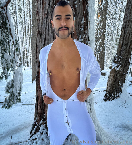 Mexdadbb hd model archive