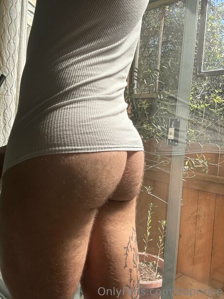 Bbprince adult model img