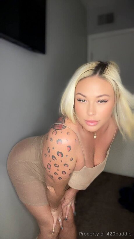 Stacy502 free model archive