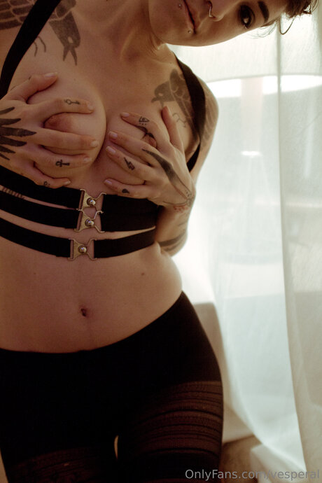 Vesperal perfect model archive