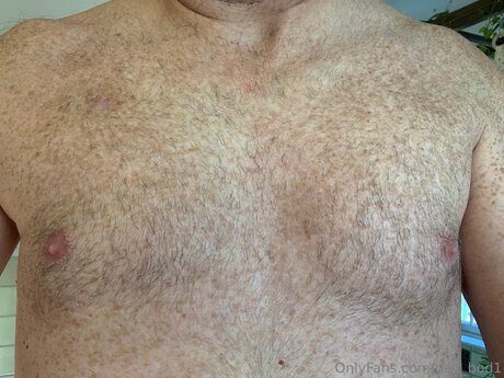 Dad Bod1 xxx actress photo