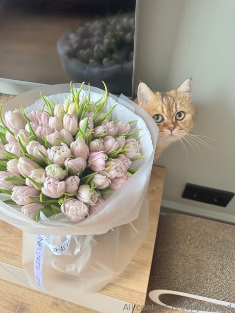 Celestiavex perfect actress pictures