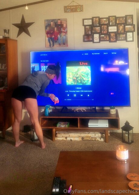 Landscapechick star top photos