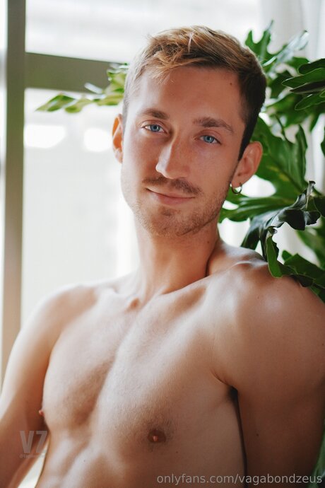 Vagabondzeus pornstar art archive