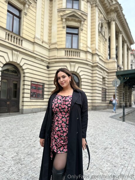 Hildaschmidt art actress images