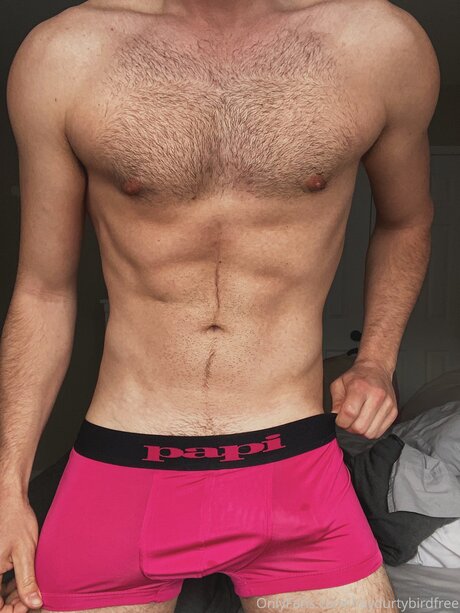 Haydurtybirdfree star best photo