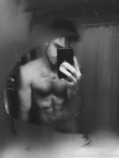 Haydurtybirdfree pretty star images