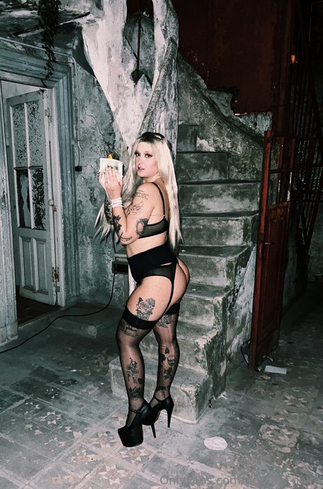 Domira Noire pornstar sex archive