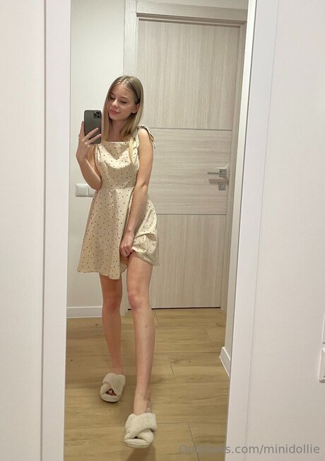 Minidollie model top photo