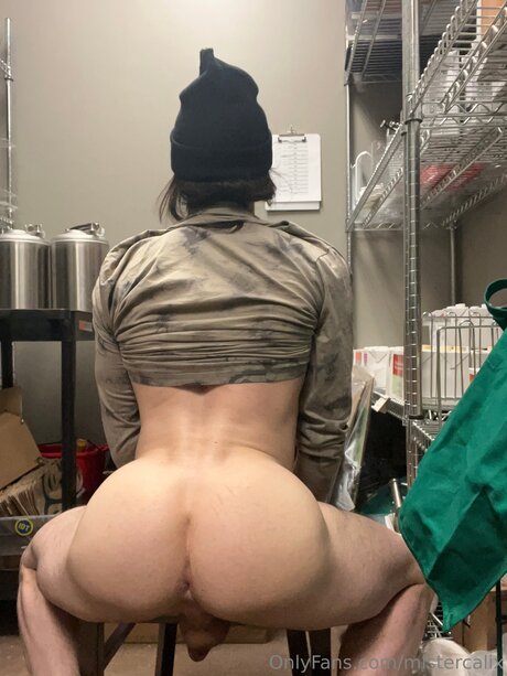 Mistercalix hd actress img