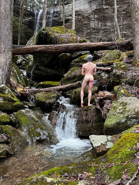 Mistercalix high quality model img