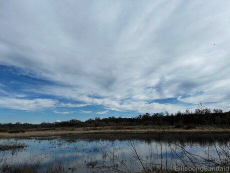 Billabongbandaid hd actress picture