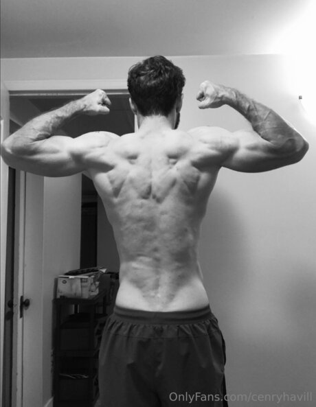 Cenryhavill perfect model images