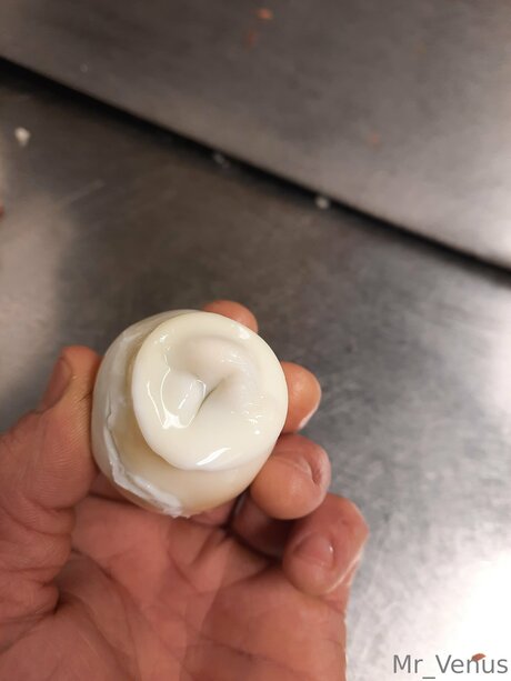 Mr Venus free star gallery