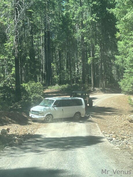 Mr Venus perfect star image