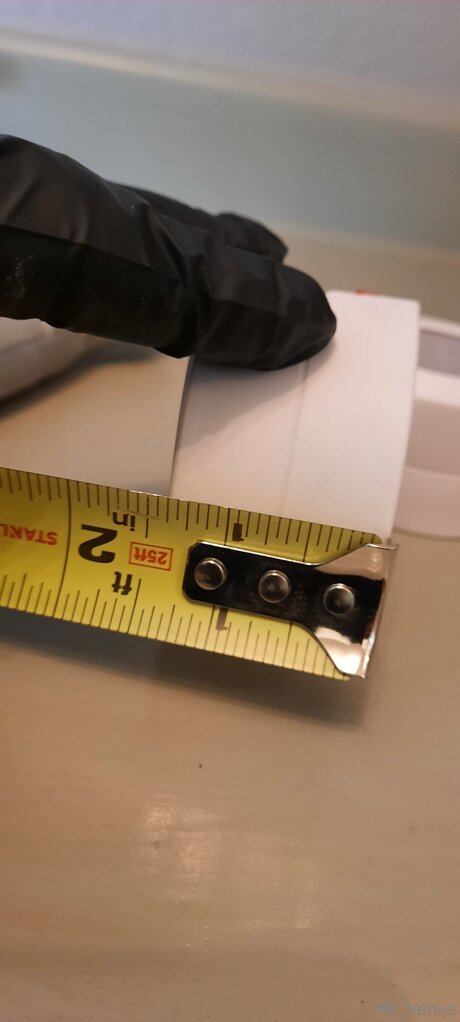 Mr Venus star nude pictures