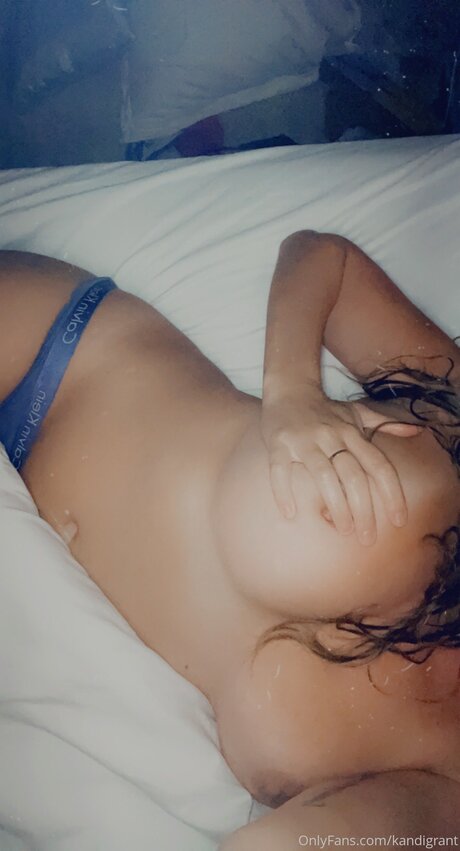 Kandigrant hd model archive