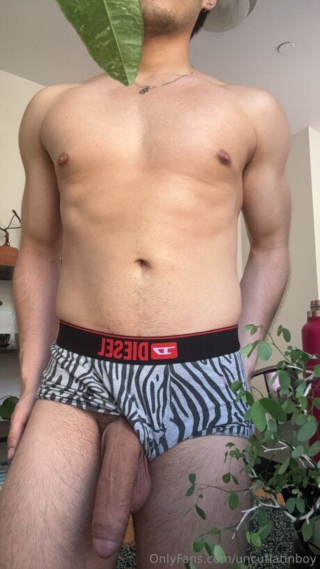 Uncutlatinboy model art images