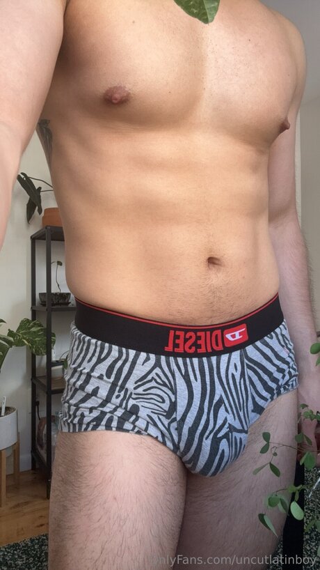 Uncutlatinboy best pornstar galleries