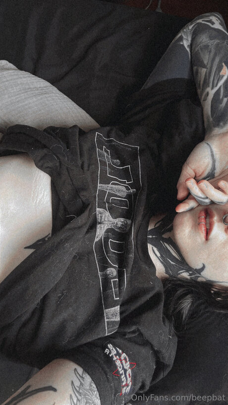 Beepbat star picture