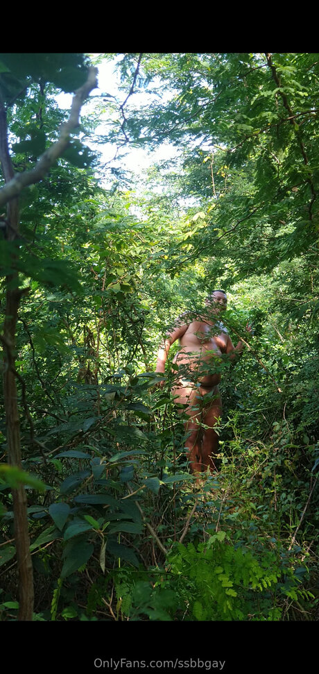 Ssbbgay model art pics