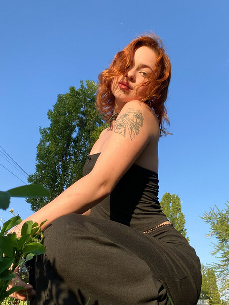 Pineappleri high quality star pics