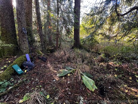 blowjob cumshot onlyfans perfect pics