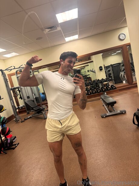 Joeysacco model high quality image