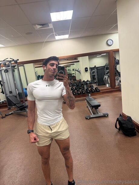 Joeysacco art model archive