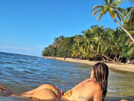 Adore Annaliisa pretty actress image