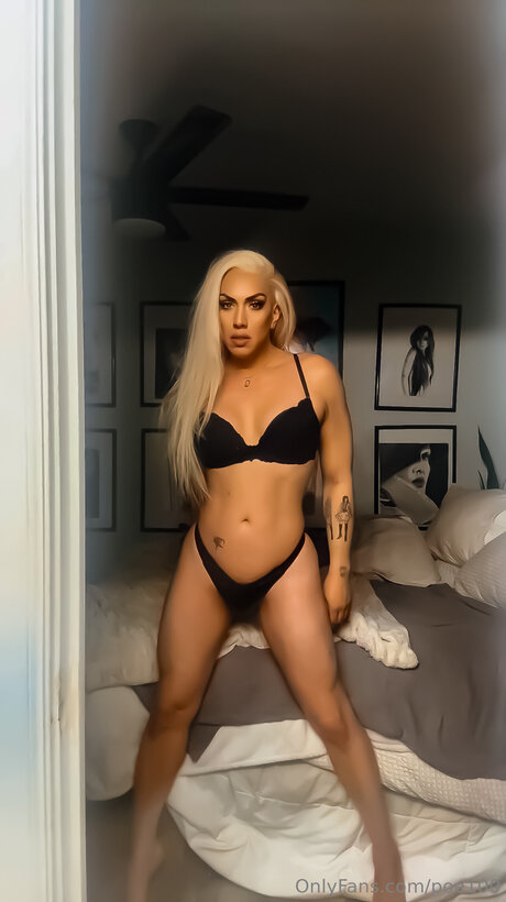 Poe100 best model pictures