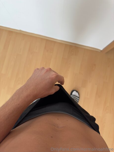 Normalnoahfree star free galleries