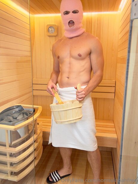 Normalnoahfree model perfect image