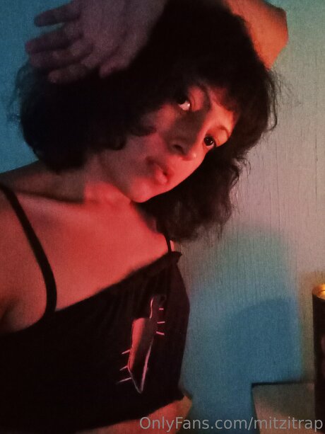Mitzitrap model best photo