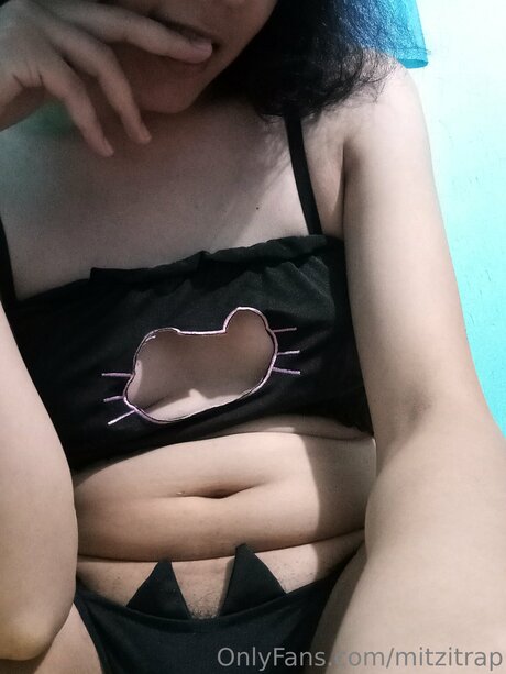 Mitzitrap star galleries