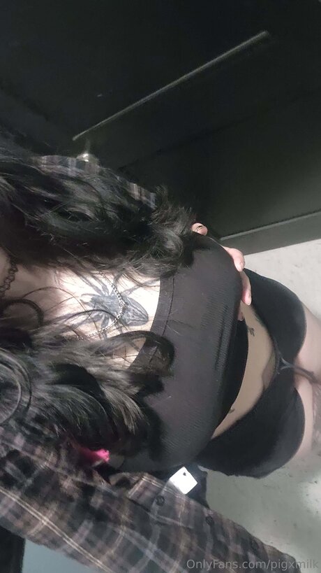 Pigxmilk model naked galleries