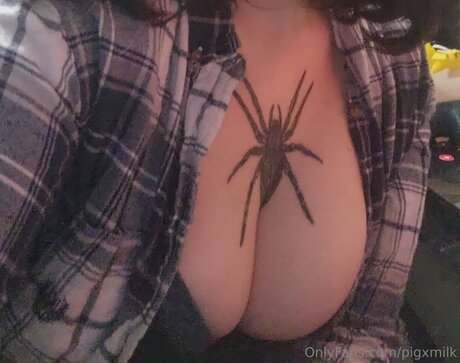 Pigxmilk high quality star images