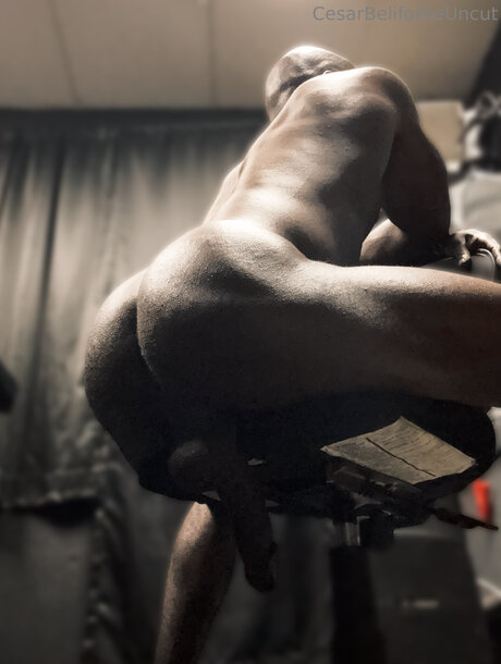 Cesarbelifonteuncut best pornstar pic