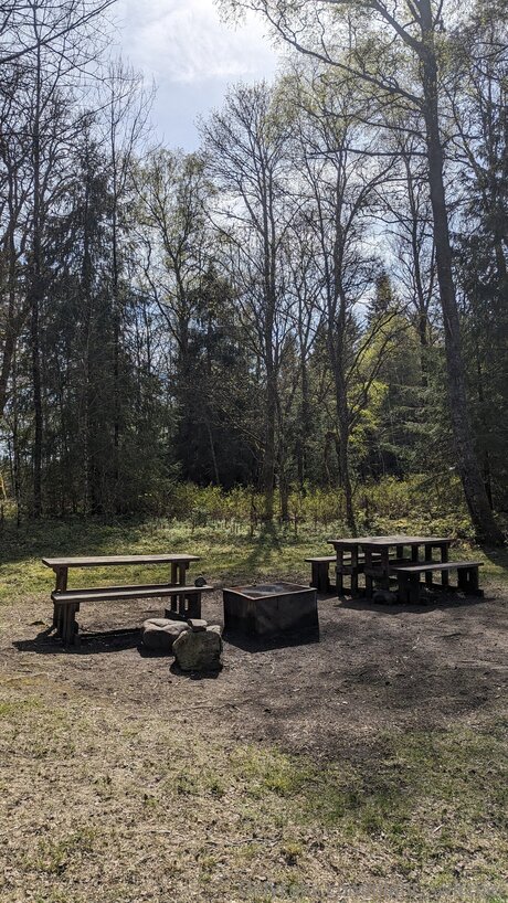 Night Switcher star perfect image