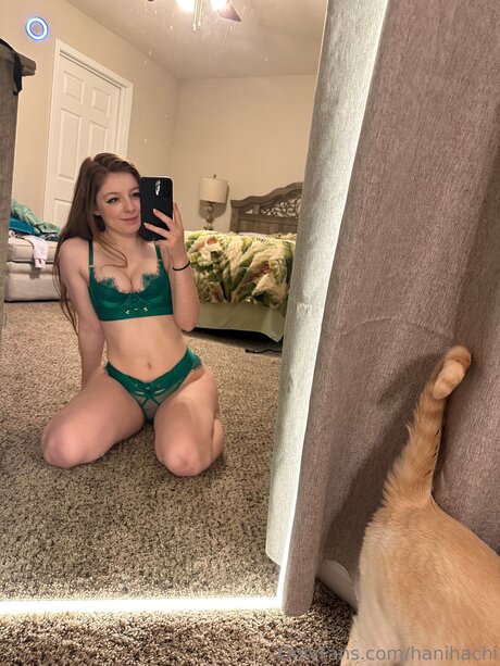 Hanihachi art actress gallery