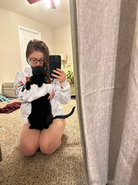 Hanihachi star free photos