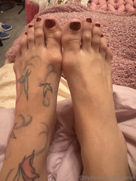 Lizvenus star top image