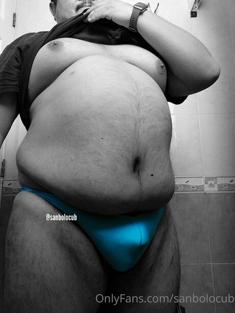 Sanbolocub high quality model photos