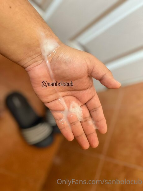 Sanbolocub model xxx pic