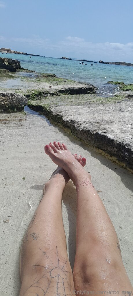 Anto Mey star perfect archive