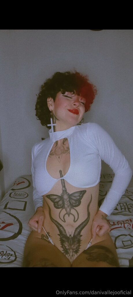 Danivallejooficial art star pictures