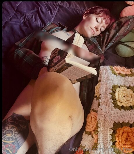 Cdrtroi Free hd pornstar picture