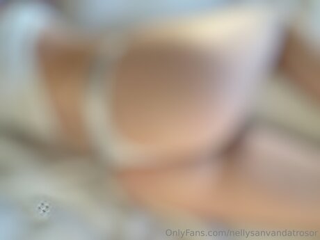Nellysanvandatrosor pornstar beautiful picture