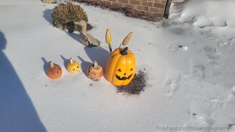 Theupsidedowngirl star xxx picture